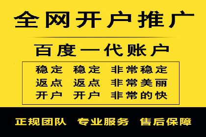 某电商企业如何通过百度竞价广告提升销售额